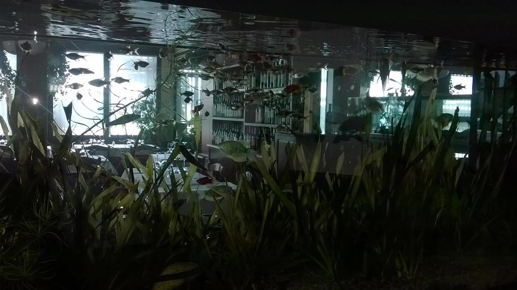 Locanda Ai Due Orsi Milão Quarto foto